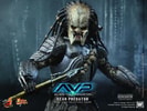Scar Predator (Prototype Shown) View 15