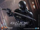 Snake Eyes View 13