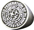 Starfleet Academy Ring - Star Trek Into Darkness View 7