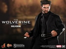 The Wolverine View 4