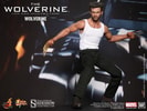 The Wolverine View 6