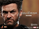 The Wolverine View 14