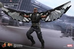Falcon View 5