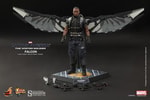 Falcon View 18