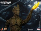 Groot View 5