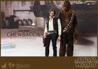 Han Solo and Chewbacca View 4