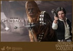 Han Solo and Chewbacca View 3