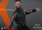 Wolverine View 10
