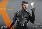 Wolverine View 12