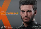 Wolverine View 14
