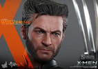 Wolverine View 15