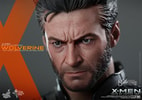 Wolverine View 16