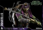 Donatello (Prototype Shown) View 19