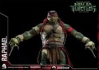 Raphael (Prototype Shown) View 19