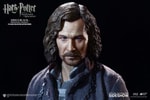 Sirius Black Prisoner Version (Prototype Shown) View 12