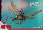 Ant-Man on Flying Ant (Prototype Shown) View 2