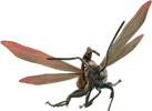 Ant-Man on Flying Ant (Prototype Shown) View 7