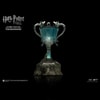 Harry Potter (Triwizard Tournament Version)