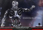 Endoskeleton (Prototype Shown) View 6
