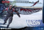 Falcon (Prototype Shown) View 16