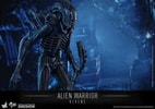 Alien Warrior (Prototype Shown) View 5