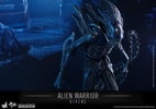 Alien Warrior (Prototype Shown) View 6