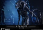 Alien Warrior (Prototype Shown) View 7