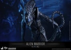 Alien Warrior (Prototype Shown) View 8