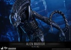 Alien Warrior (Prototype Shown) View 10