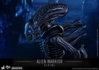 Alien Warrior (Prototype Shown) View 13