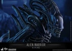 Alien Warrior (Prototype Shown) View 14