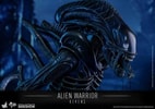 Alien Warrior (Prototype Shown) View 15