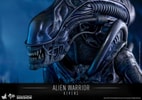 Alien Warrior (Prototype Shown) View 16
