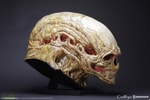 Alien Newborn Life-Size Head (Prototype Shown) View 3