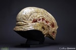 Alien Newborn Life-Size Head (Prototype Shown) View 5