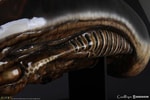 Dog Alien Life-Size Head (Prototype Shown) View 13