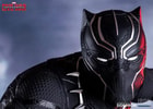 Black Panther (Prototype Shown) View 2