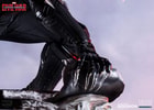 Black Panther (Prototype Shown) View 8