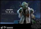 Yoda (Prototype Shown) View 1