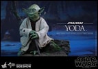 Yoda (Prototype Shown) View 2