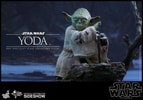 Yoda (Prototype Shown) View 5