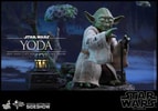 Yoda (Prototype Shown) View 7