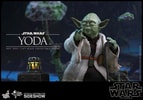 Yoda (Prototype Shown) View 8