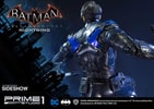Nightwing Collector Edition (Prototype Shown) View 9
