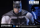 The Dark Knight Returns Batman Collector Edition (Prototype Shown) View 2