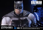 The Dark Knight Returns Batman Collector Edition - Prototype Shown