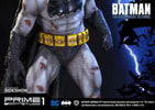 The Dark Knight Returns Batman Exclusive Edition (Prototype Shown) View 10
