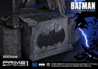 The Dark Knight Returns Batman Exclusive Edition (Prototype Shown) View 8