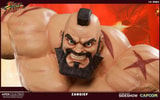 Zangief View 18