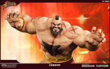 Zangief View 17